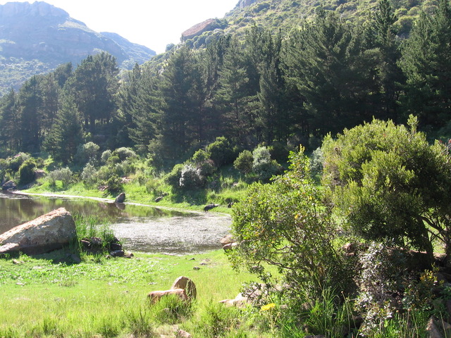 Full summer on the mountain slopes outside Morija, southern Lesotho, summer 2011